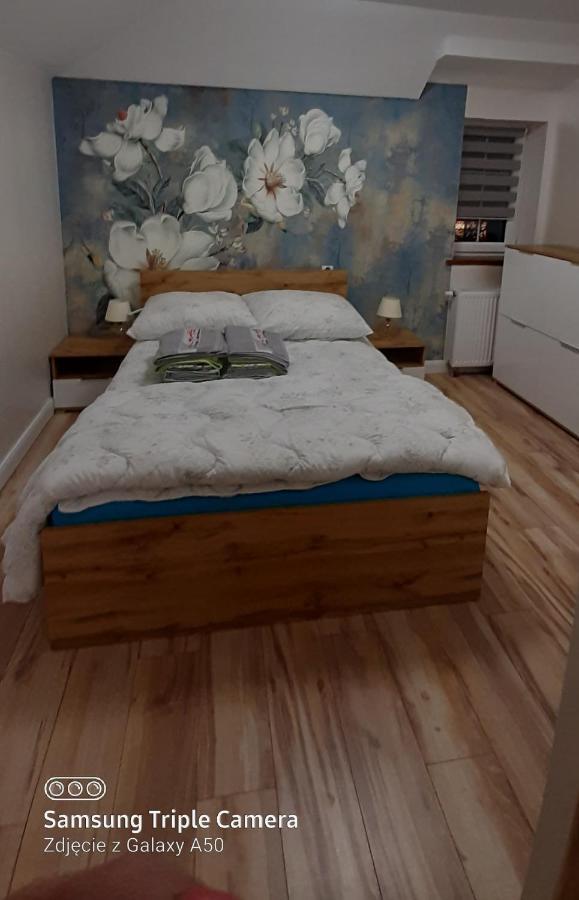 Apartamenty U Iwony Centrum Miasta Blisko Parku Zdrojowego Kudowa Zdroj Ngoại thất bức ảnh